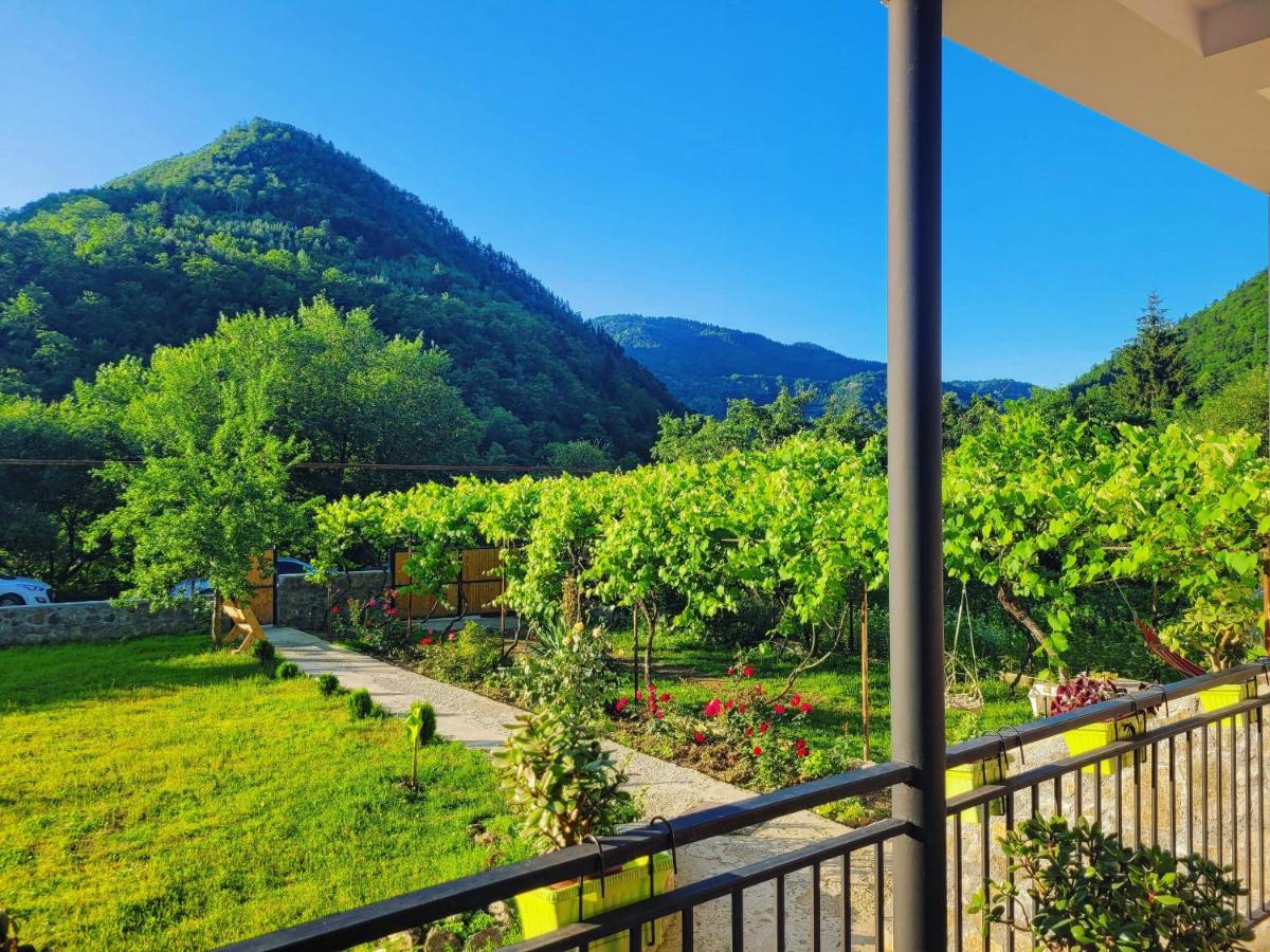 Family Hotel Mountain Panorama Borjomi Exterior foto
