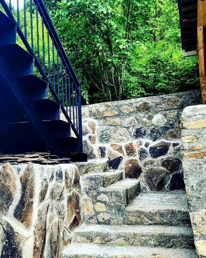 Family Hotel Mountain Panorama Borjomi Exterior foto