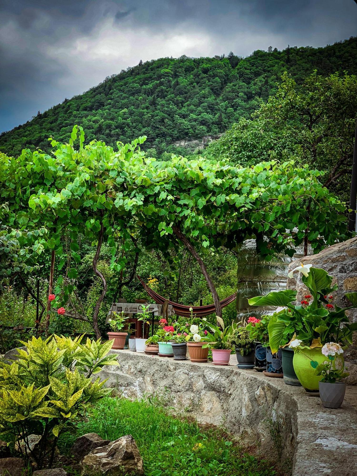 Family Hotel Mountain Panorama Borjomi Exterior foto
