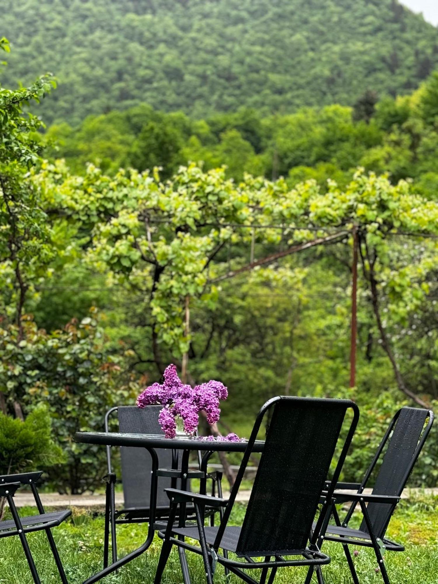Family Hotel Mountain Panorama Borjomi Exterior foto